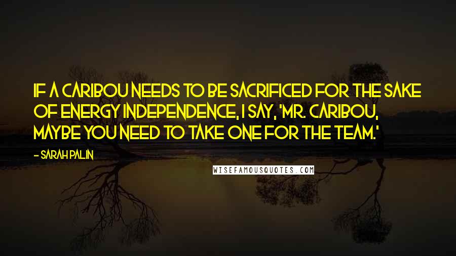 Sarah Palin Quotes: If a caribou needs to be sacrificed for the sake of energy independence, I say, 'Mr. Caribou, maybe you need to take one for the team.'