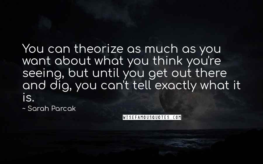Sarah Parcak Quotes: You can theorize as much as you want about what you think you're seeing, but until you get out there and dig, you can't tell exactly what it is.