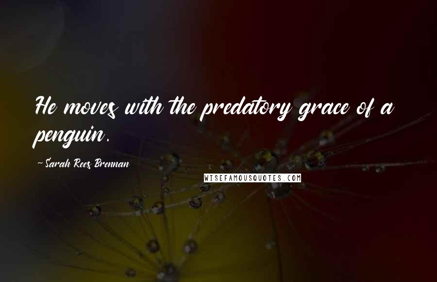 Sarah Rees Brennan Quotes: He moves with the predatory grace of a penguin.