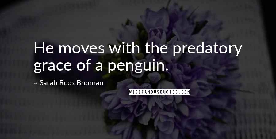 Sarah Rees Brennan Quotes: He moves with the predatory grace of a penguin.