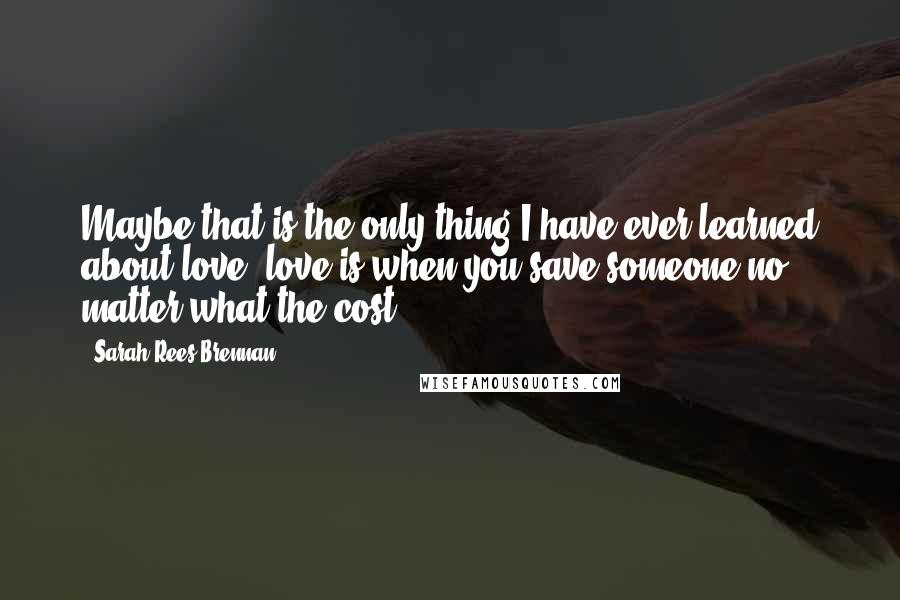 Sarah Rees Brennan Quotes: Maybe that is the only thing I have ever learned about love: love is when you save someone no matter what the cost.