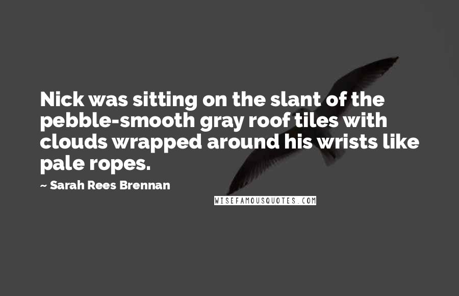 Sarah Rees Brennan Quotes: Nick was sitting on the slant of the pebble-smooth gray roof tiles with clouds wrapped around his wrists like pale ropes.