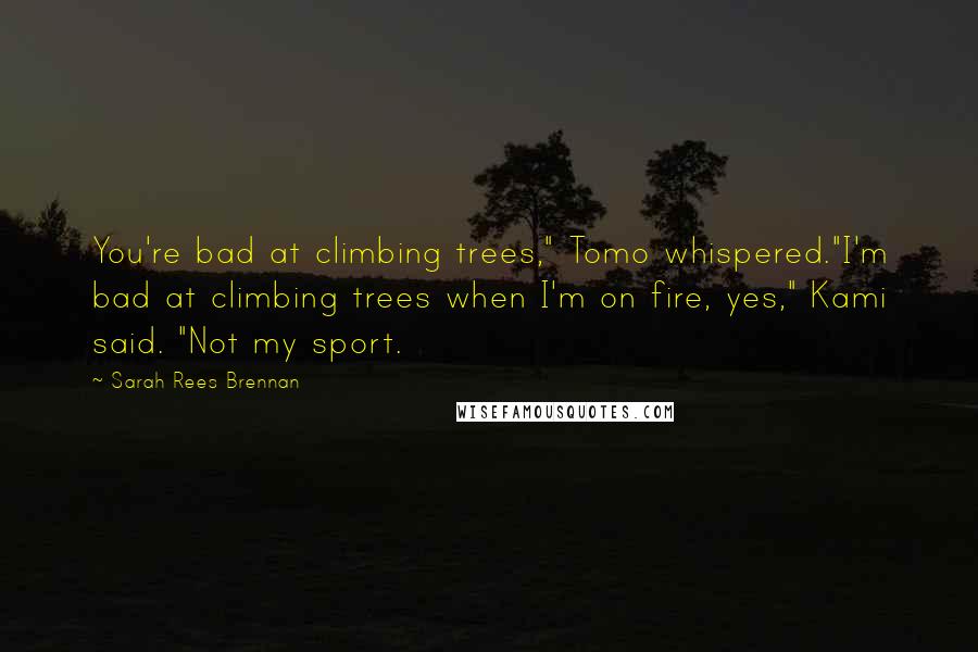 Sarah Rees Brennan Quotes: You're bad at climbing trees," Tomo whispered."I'm bad at climbing trees when I'm on fire, yes," Kami said. "Not my sport.