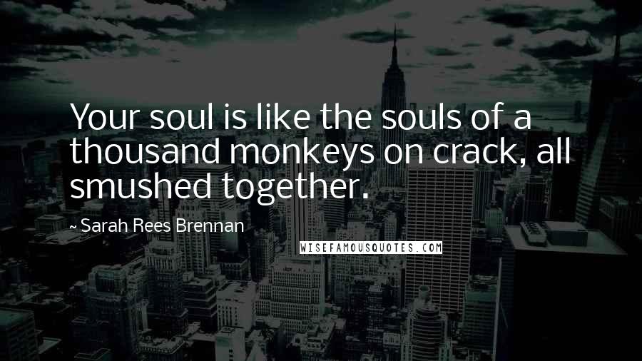 Sarah Rees Brennan Quotes: Your soul is like the souls of a thousand monkeys on crack, all smushed together.