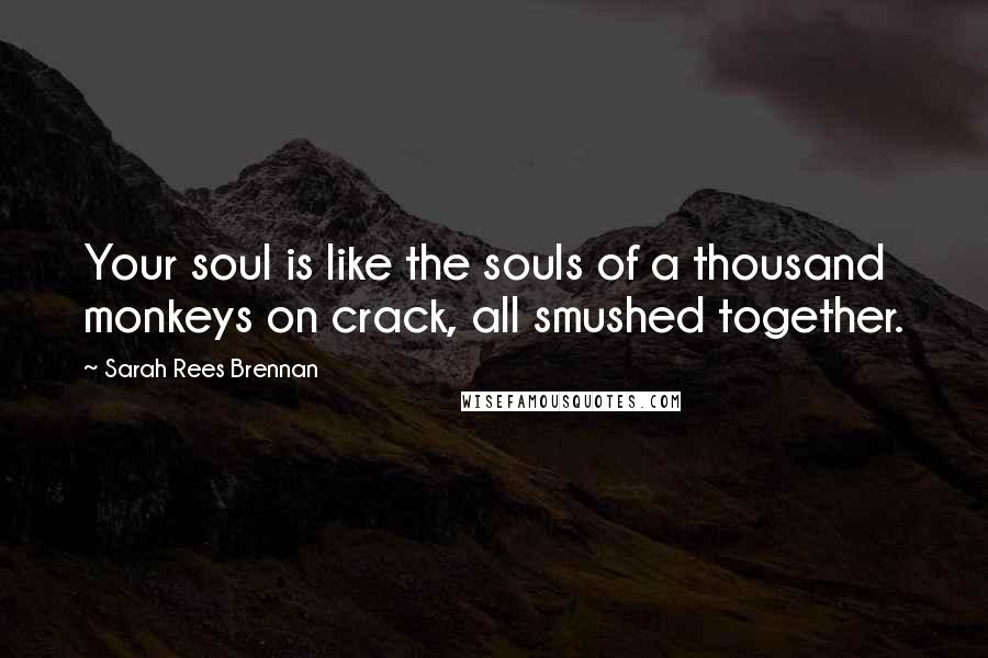 Sarah Rees Brennan Quotes: Your soul is like the souls of a thousand monkeys on crack, all smushed together.