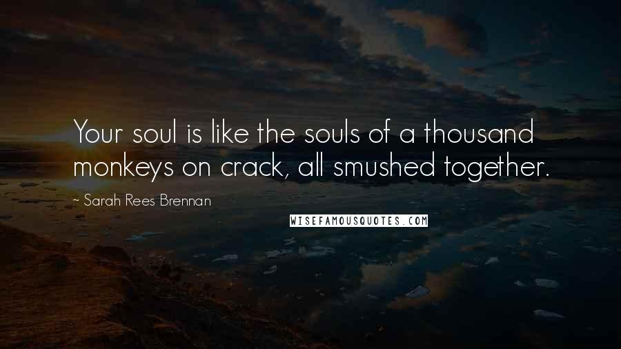 Sarah Rees Brennan Quotes: Your soul is like the souls of a thousand monkeys on crack, all smushed together.