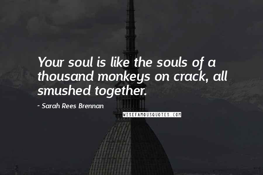 Sarah Rees Brennan Quotes: Your soul is like the souls of a thousand monkeys on crack, all smushed together.