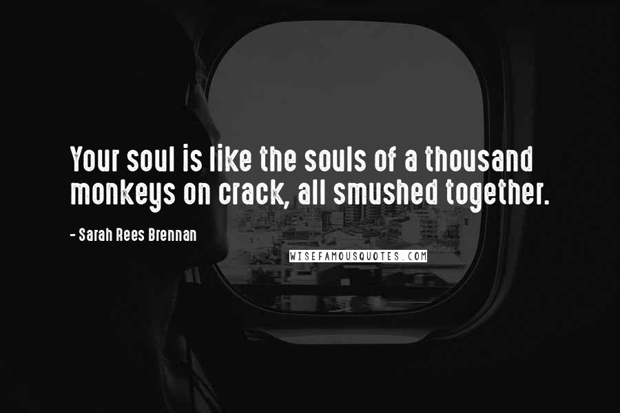 Sarah Rees Brennan Quotes: Your soul is like the souls of a thousand monkeys on crack, all smushed together.