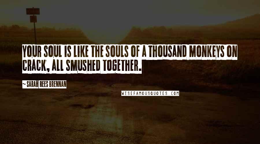 Sarah Rees Brennan Quotes: Your soul is like the souls of a thousand monkeys on crack, all smushed together.