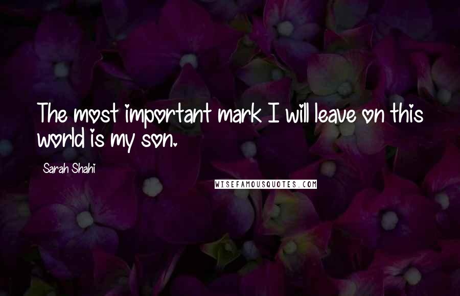 Sarah Shahi Quotes: The most important mark I will leave on this world is my son.