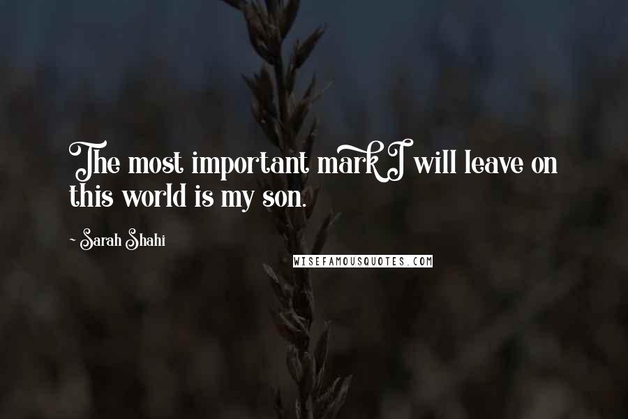 Sarah Shahi Quotes: The most important mark I will leave on this world is my son.