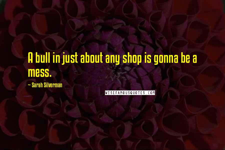 Sarah Silverman Quotes: A bull in just about any shop is gonna be a mess.