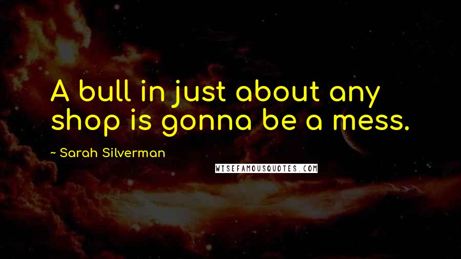 Sarah Silverman Quotes: A bull in just about any shop is gonna be a mess.