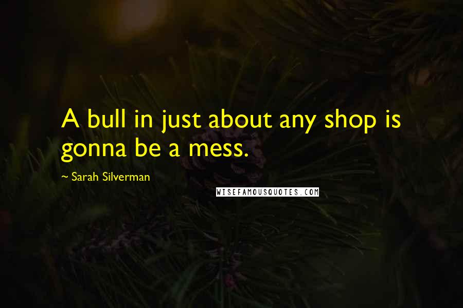 Sarah Silverman Quotes: A bull in just about any shop is gonna be a mess.