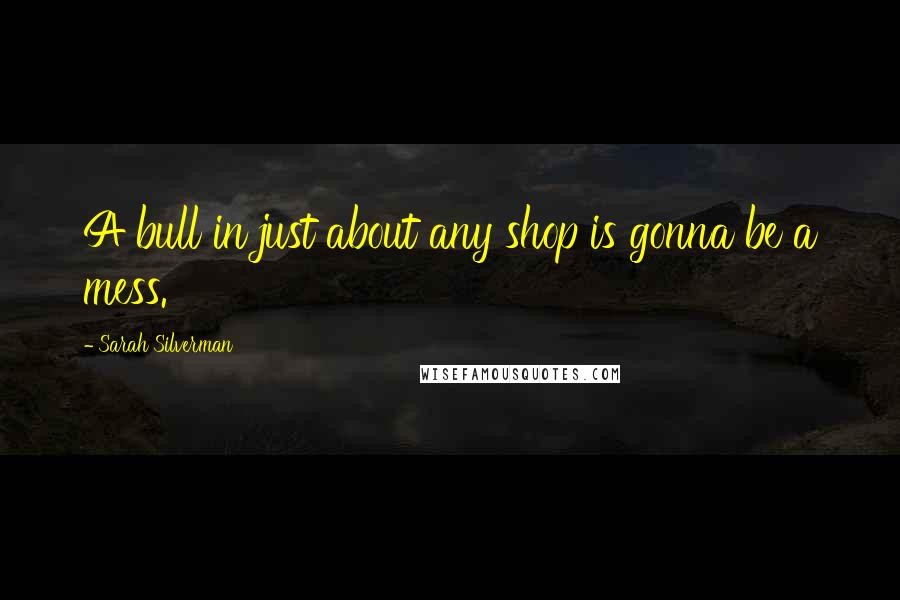 Sarah Silverman Quotes: A bull in just about any shop is gonna be a mess.