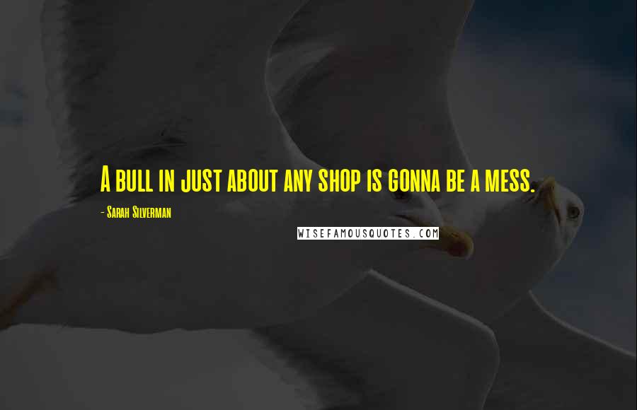 Sarah Silverman Quotes: A bull in just about any shop is gonna be a mess.