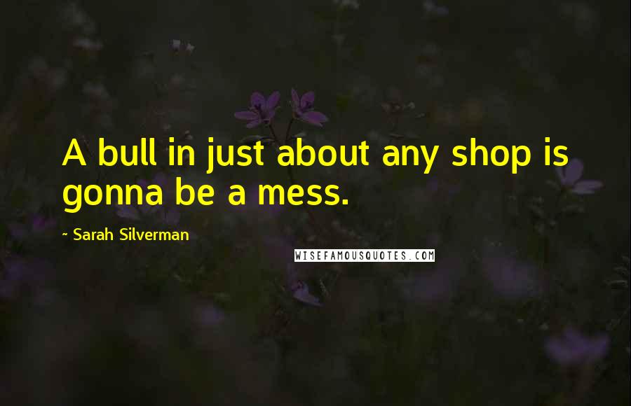 Sarah Silverman Quotes: A bull in just about any shop is gonna be a mess.