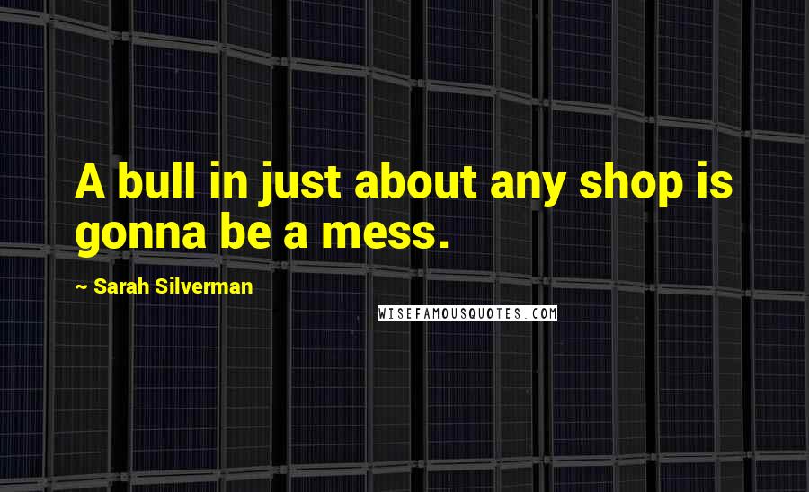 Sarah Silverman Quotes: A bull in just about any shop is gonna be a mess.