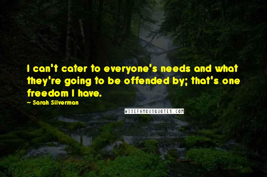 Sarah Silverman Quotes: I can't cater to everyone's needs and what they're going to be offended by; that's one freedom I have.