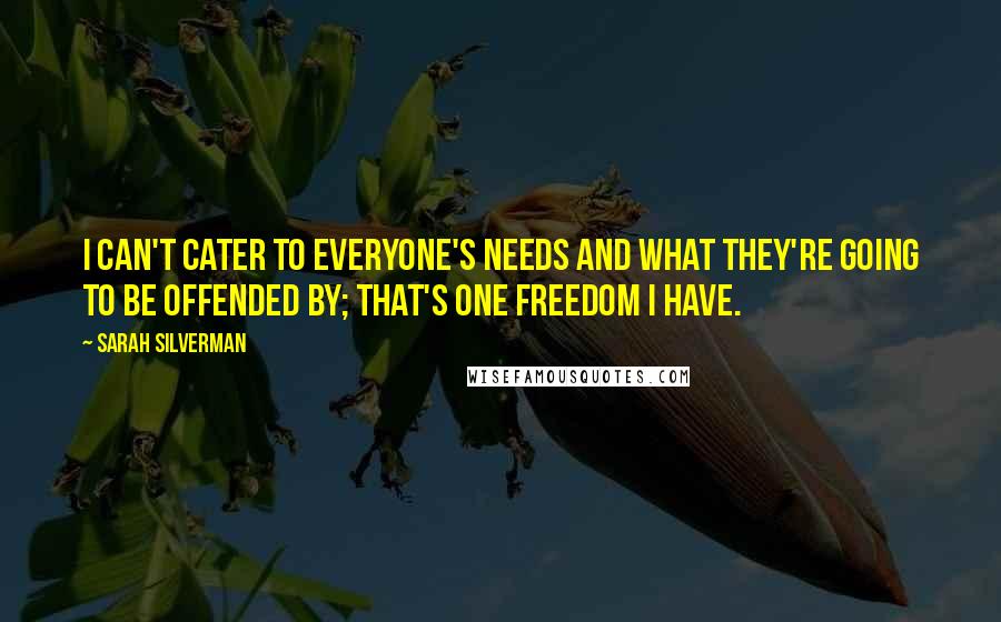 Sarah Silverman Quotes: I can't cater to everyone's needs and what they're going to be offended by; that's one freedom I have.