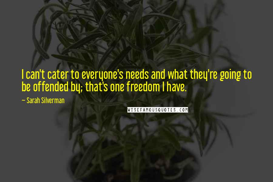 Sarah Silverman Quotes: I can't cater to everyone's needs and what they're going to be offended by; that's one freedom I have.