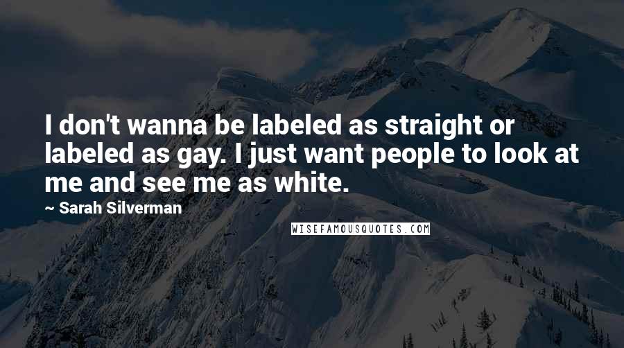 Sarah Silverman Quotes: I don't wanna be labeled as straight or labeled as gay. I just want people to look at me and see me as white.