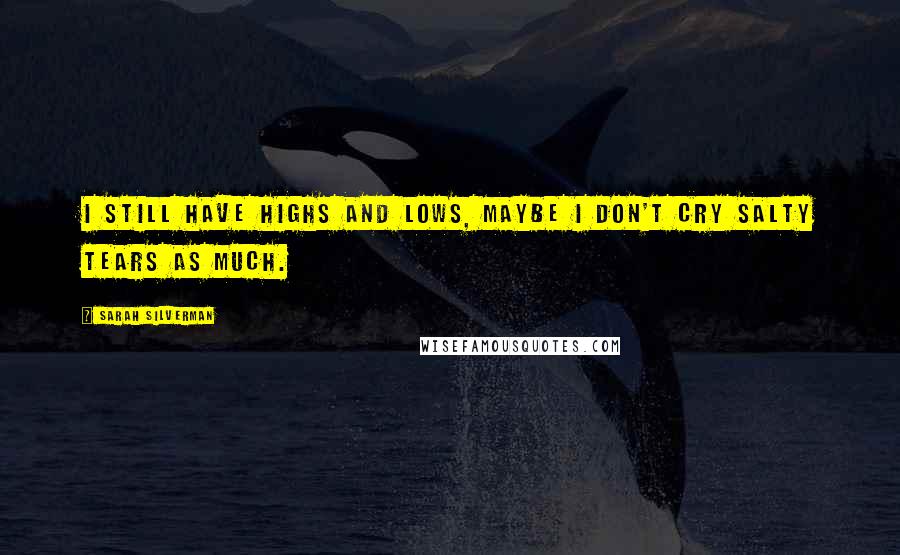 Sarah Silverman Quotes: I still have highs and lows, maybe I don't cry salty tears as much.