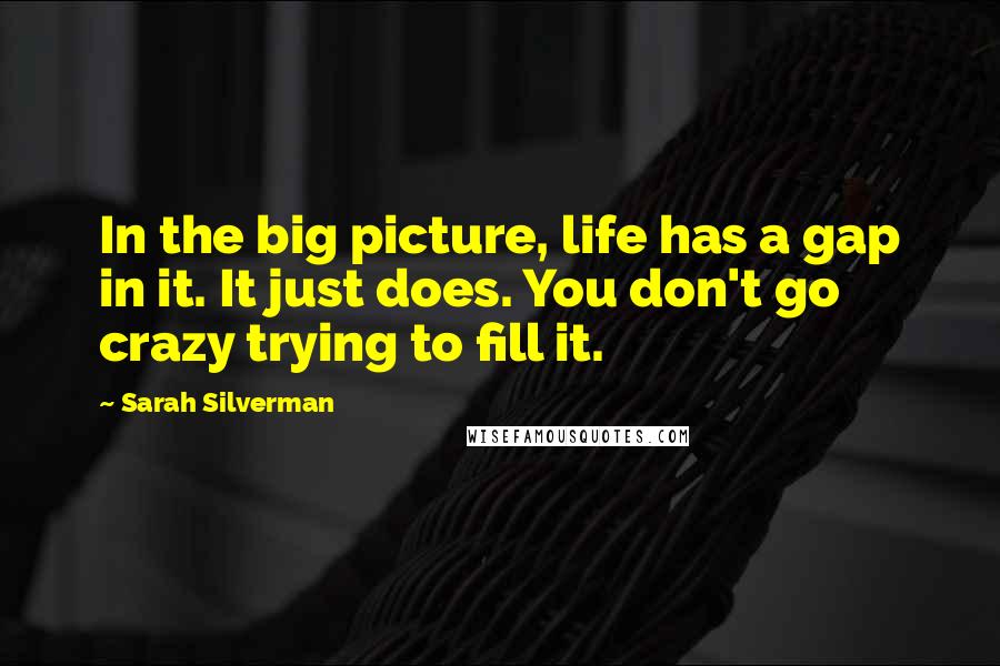 Sarah Silverman Quotes: In the big picture, life has a gap in it. It just does. You don't go crazy trying to fill it.