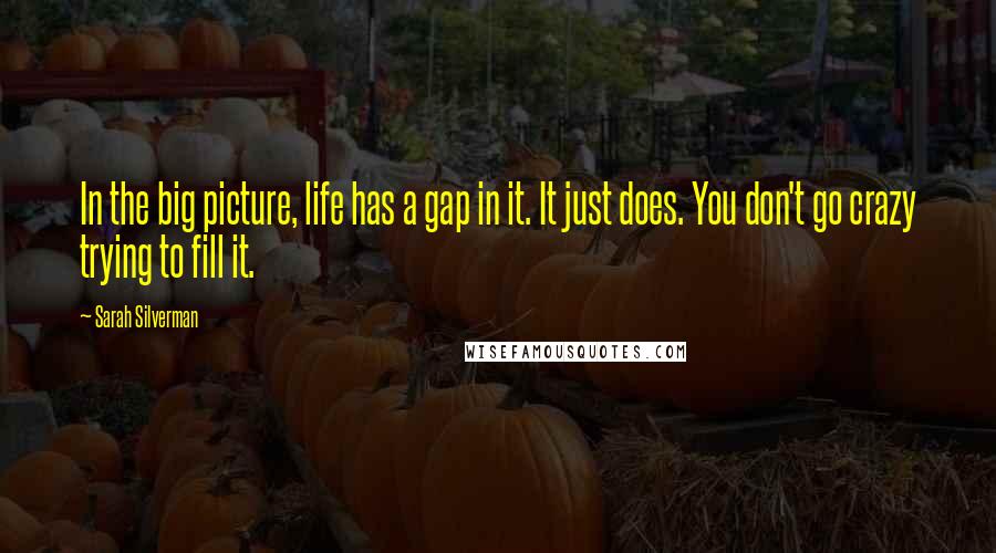 Sarah Silverman Quotes: In the big picture, life has a gap in it. It just does. You don't go crazy trying to fill it.