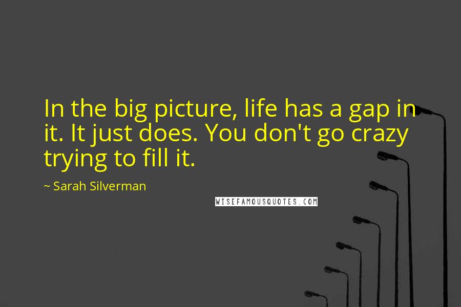 Sarah Silverman Quotes: In the big picture, life has a gap in it. It just does. You don't go crazy trying to fill it.