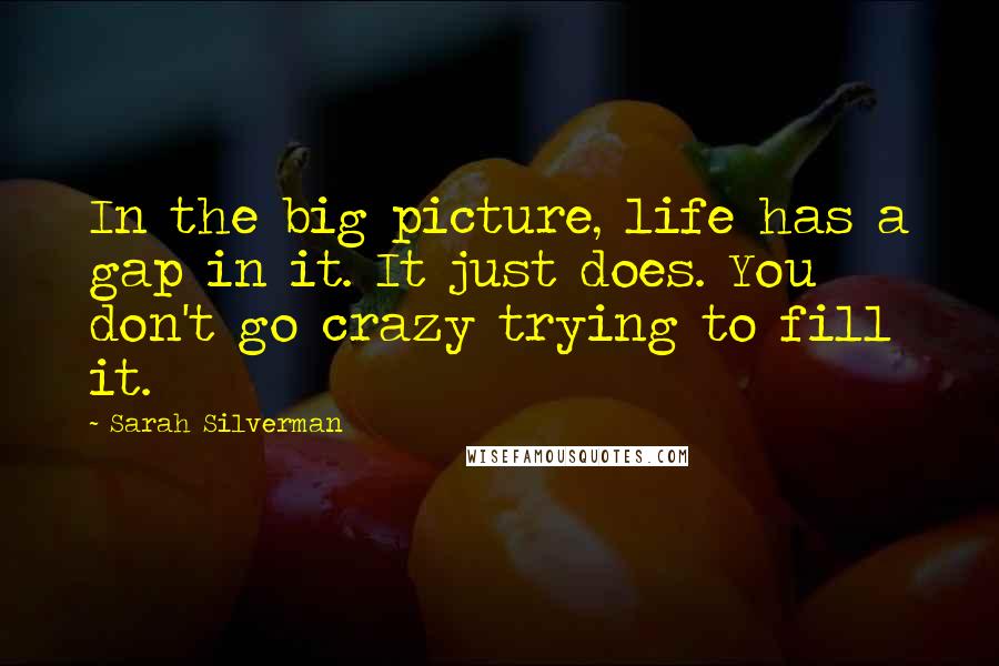 Sarah Silverman Quotes: In the big picture, life has a gap in it. It just does. You don't go crazy trying to fill it.
