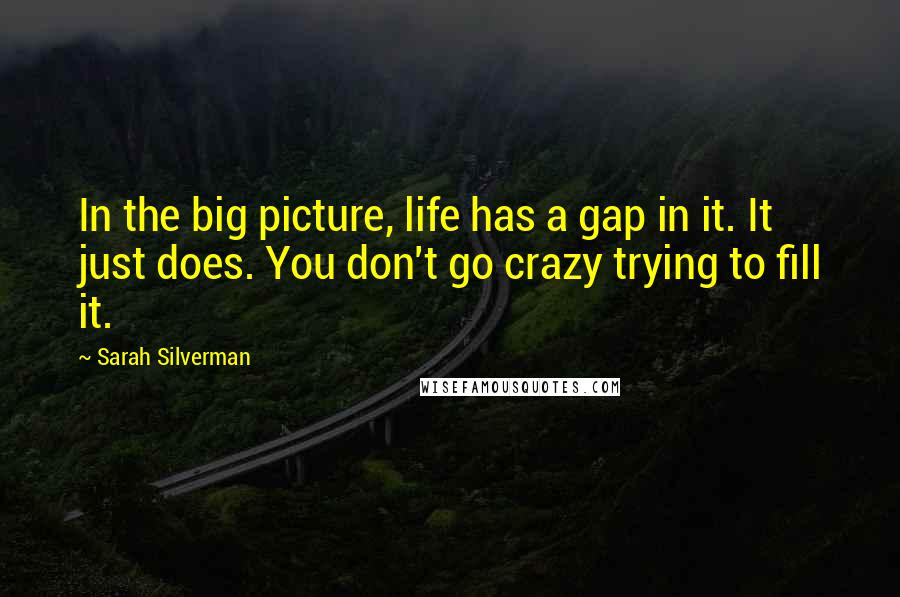 Sarah Silverman Quotes: In the big picture, life has a gap in it. It just does. You don't go crazy trying to fill it.