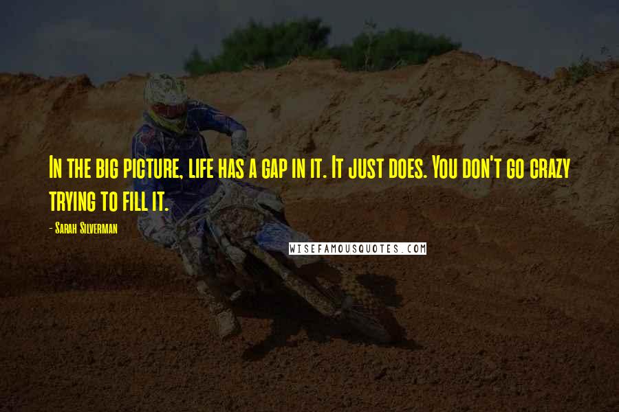 Sarah Silverman Quotes: In the big picture, life has a gap in it. It just does. You don't go crazy trying to fill it.