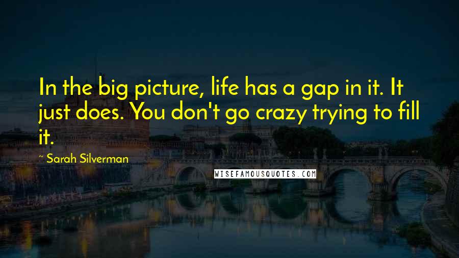 Sarah Silverman Quotes: In the big picture, life has a gap in it. It just does. You don't go crazy trying to fill it.