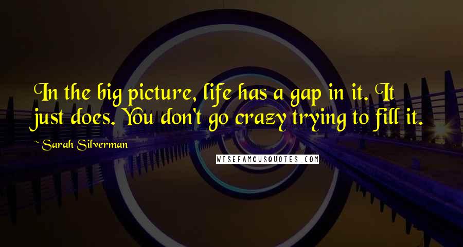 Sarah Silverman Quotes: In the big picture, life has a gap in it. It just does. You don't go crazy trying to fill it.