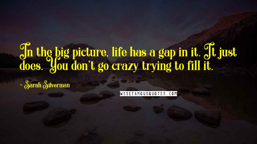 Sarah Silverman Quotes: In the big picture, life has a gap in it. It just does. You don't go crazy trying to fill it.
