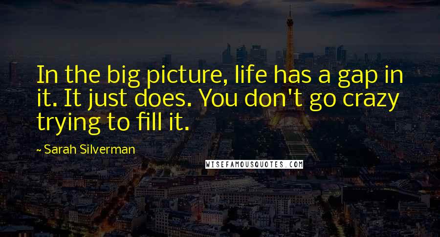 Sarah Silverman Quotes: In the big picture, life has a gap in it. It just does. You don't go crazy trying to fill it.