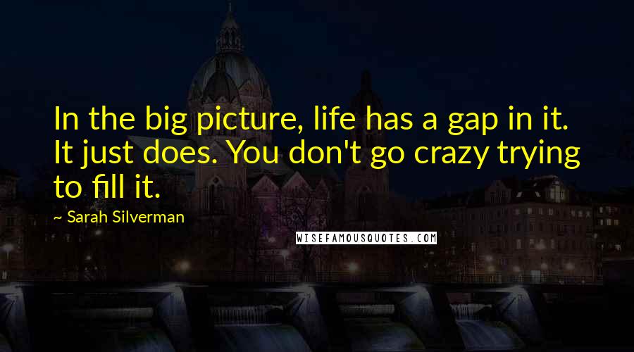 Sarah Silverman Quotes: In the big picture, life has a gap in it. It just does. You don't go crazy trying to fill it.