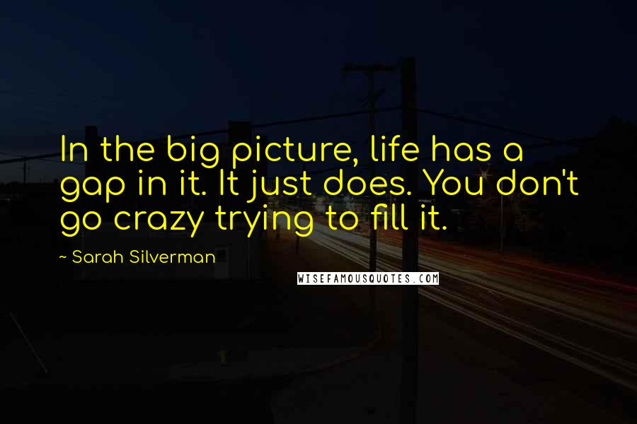 Sarah Silverman Quotes: In the big picture, life has a gap in it. It just does. You don't go crazy trying to fill it.