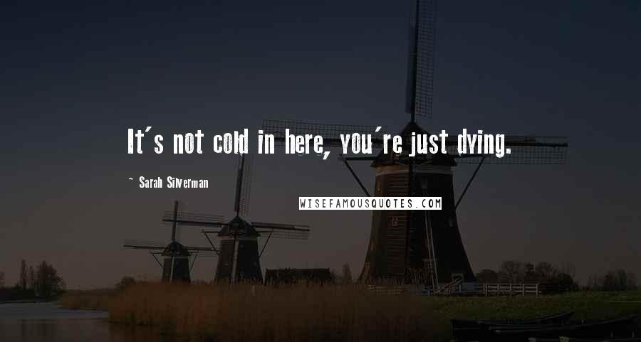 Sarah Silverman Quotes: It's not cold in here, you're just dying.