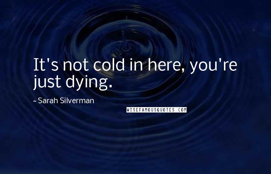 Sarah Silverman Quotes: It's not cold in here, you're just dying.
