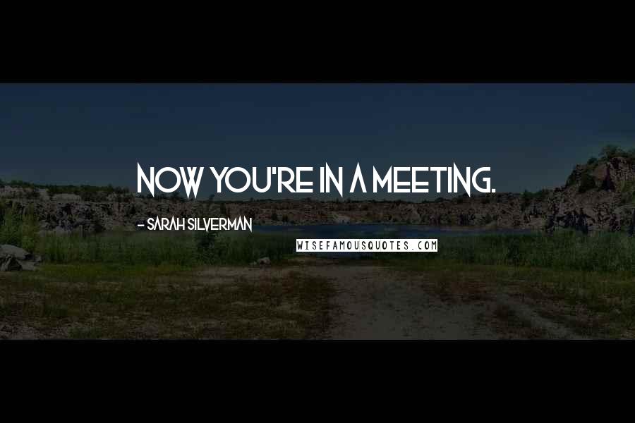 Sarah Silverman Quotes: Now you're in a meeting.