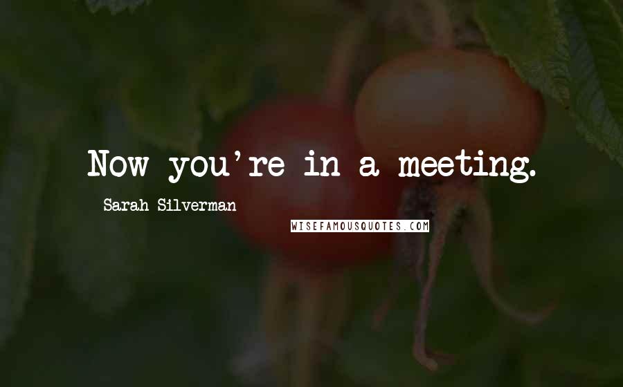 Sarah Silverman Quotes: Now you're in a meeting.