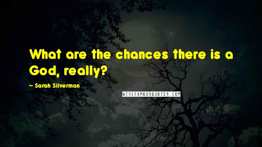 Sarah Silverman Quotes: What are the chances there is a God, really?