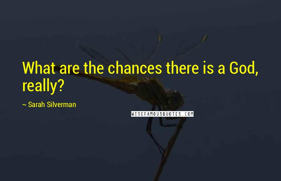 Sarah Silverman Quotes: What are the chances there is a God, really?