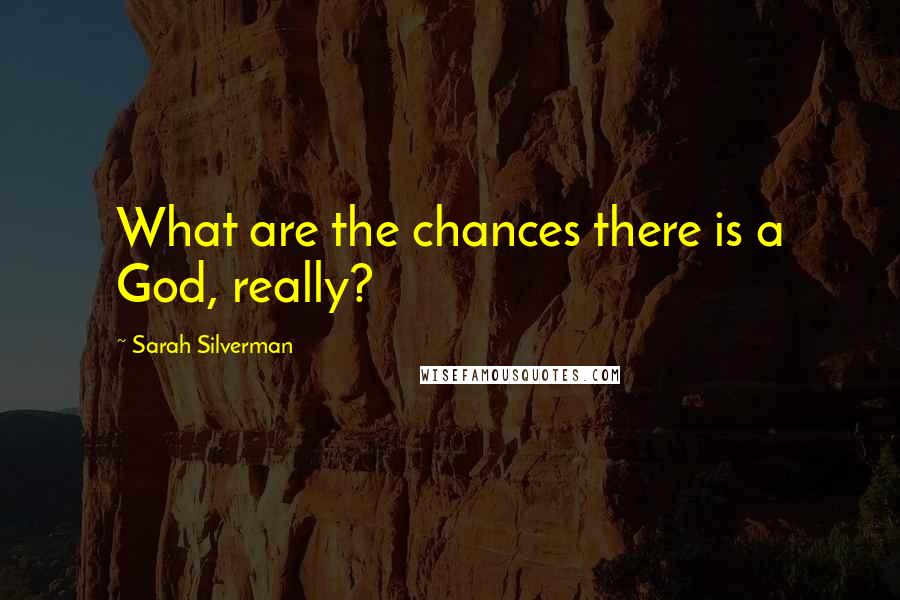 Sarah Silverman Quotes: What are the chances there is a God, really?