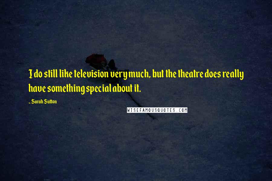 Sarah Sutton Quotes: I do still like television very much, but the theatre does really have something special about it.