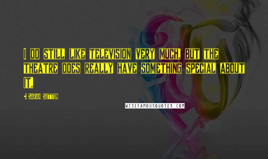 Sarah Sutton Quotes: I do still like television very much, but the theatre does really have something special about it.