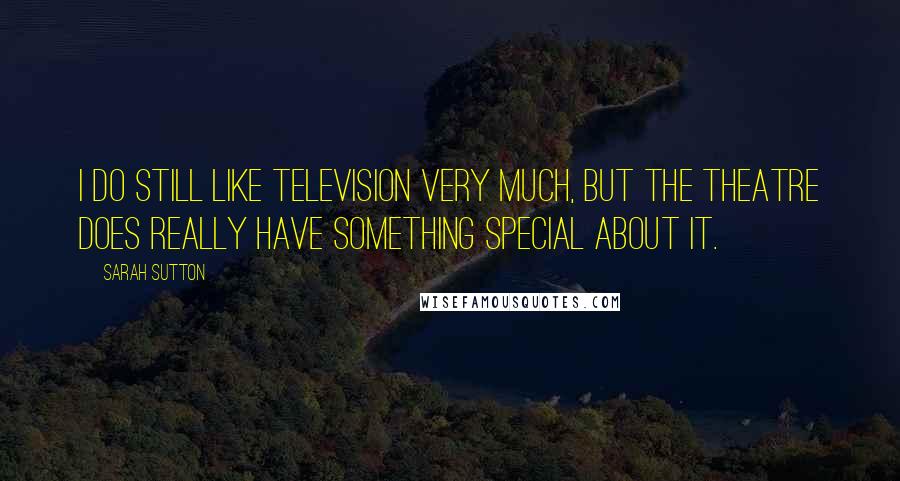 Sarah Sutton Quotes: I do still like television very much, but the theatre does really have something special about it.