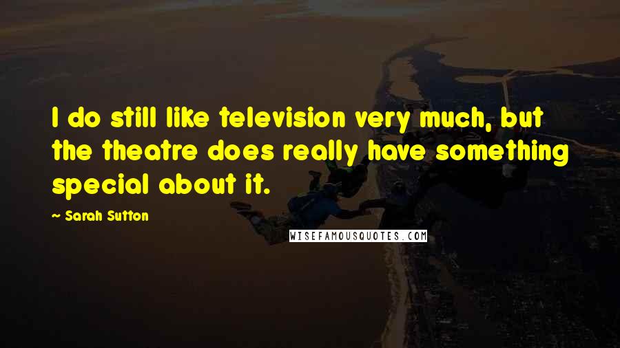 Sarah Sutton Quotes: I do still like television very much, but the theatre does really have something special about it.